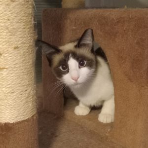 Resized_20250905_211306