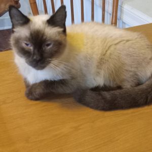 Resized_20251009_204256