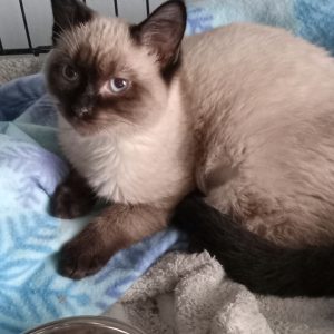 Resized_20251210_144021