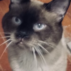 Resized_20260307_190740