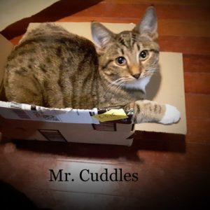 mr cuddles